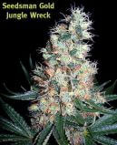Jungle Wreck