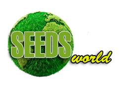 SeedsCannabis - Купить сортовые семена конопли